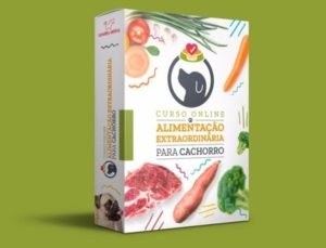 Alimentação Extraordinária Para Cachorro