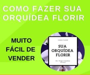 Como Fazer Sua Orquídea Florir - O Guia Completo