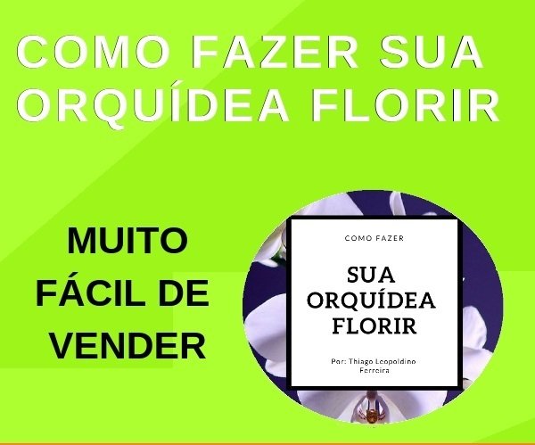 Como Fazer Sua Orquídea Florir - O Guia Completo