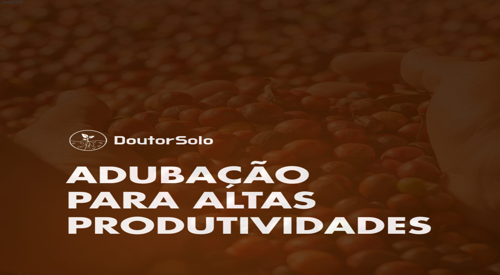 Imagem da aplicação de adubação de precisão em cafezais mostrando aumento de produtividade