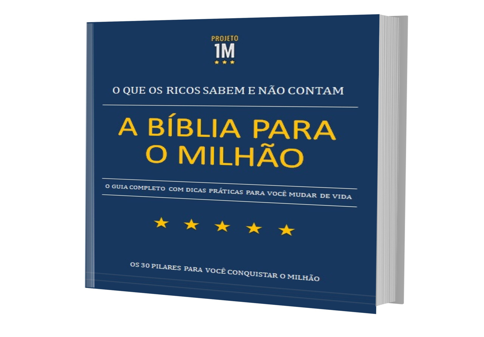 E-book A Bíblia para o Milhão com capa profissional e infográfico dos 4 pilares do sucesso