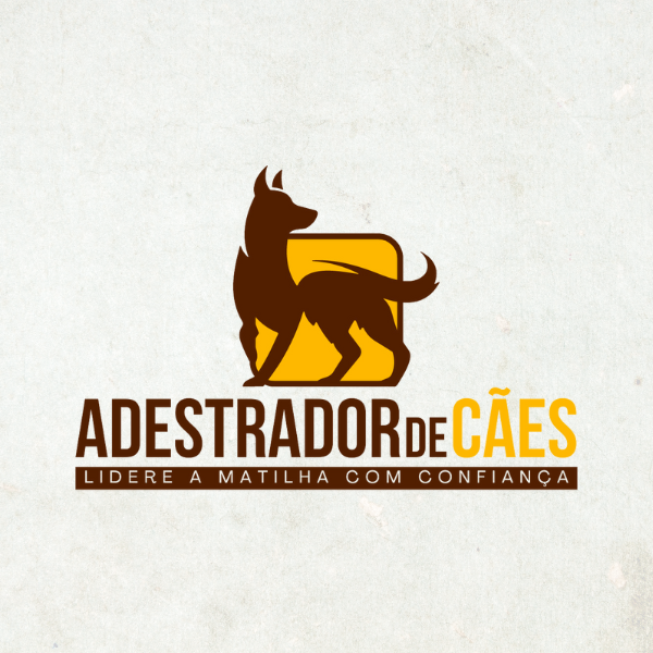 Aluno praticando adestramento positivo com cachorro após concluir o Curso de Adestrador de Cães da WebHoje