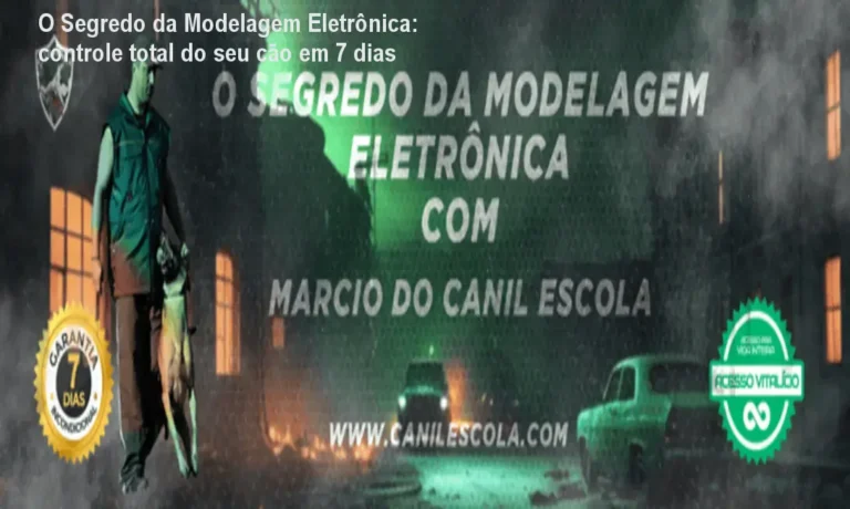 Cão obediente após treinamento avançado com colar eletrônico do curso O Segredo da Modelagem Eletrônica