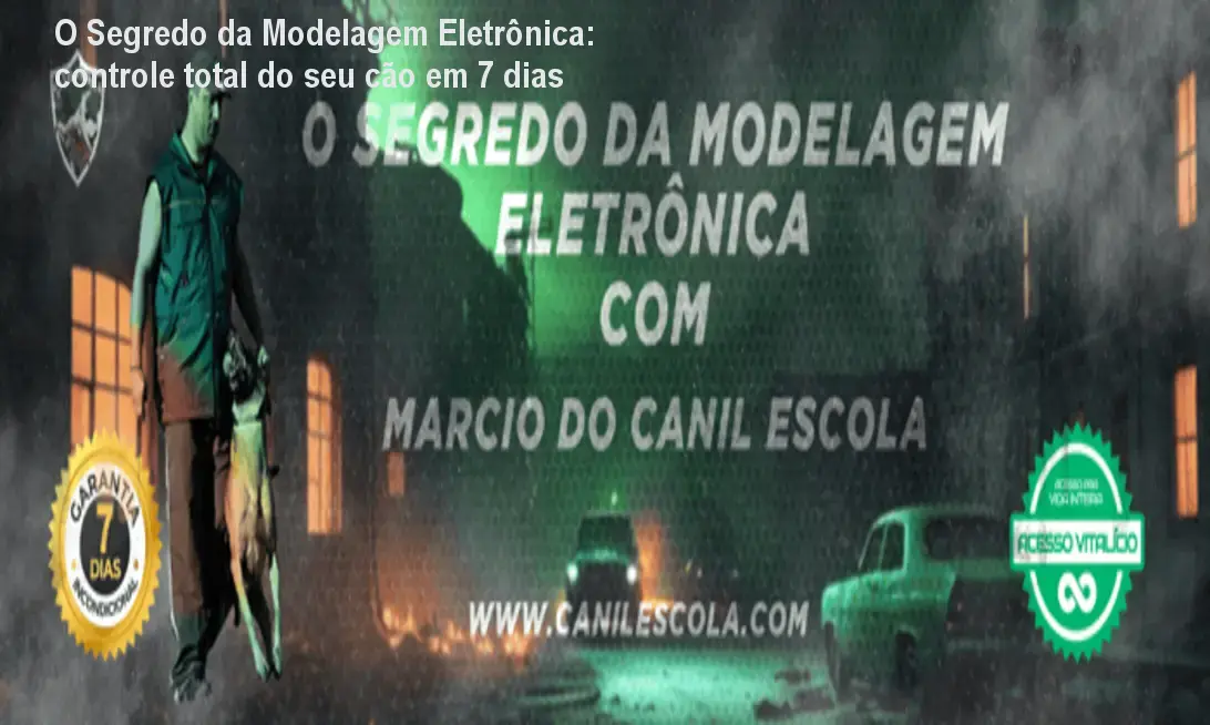 Cão obediente após treinamento avançado com colar eletrônico do curso O Segredo da Modelagem Eletrônica