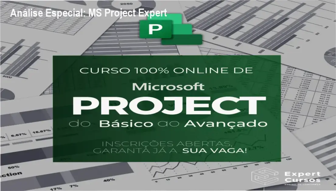 Capa informativa sobre o tema MS Project Expert
