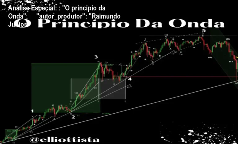 Capa informativa sobre o tema : "O princípio da Onda", "autor_produtor": "Raimundo Junior"