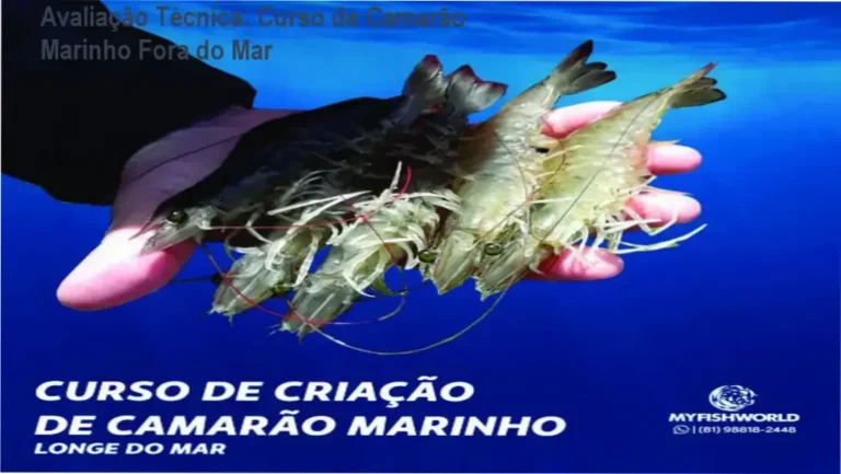 Imagem do review técnico do curso de criação de camarão marinho longe do mar