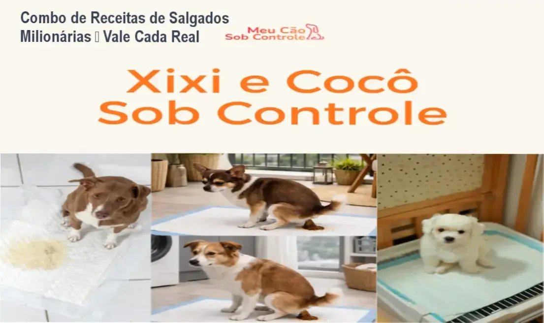 Combo de Receitas de Salgados Milionárias – Claudia Maqtiva: produção mecânica lucrativa