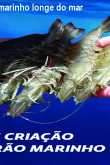 Como criar camarão marinho longe do mar – Curso completo