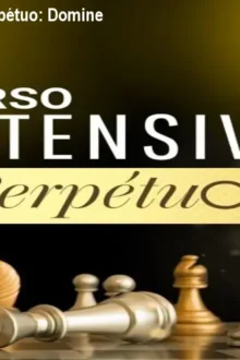Curso Intensivo do Perpétuo: Domine Google Ads e Vendas