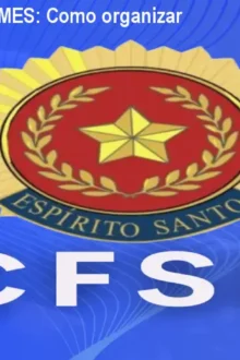 Curso Preparatório PMES: Como organizar estudos e preço
