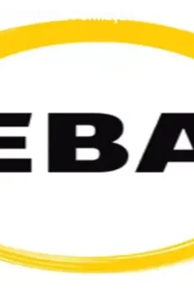 Curso EBA Business Analytics – Formação Completa em Dados