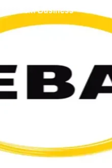 EBA – Formação Completa em Business Analytics em 45h