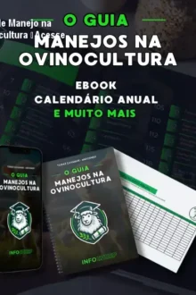 Guia de Manejo na Ovinocultura – Acesse agora