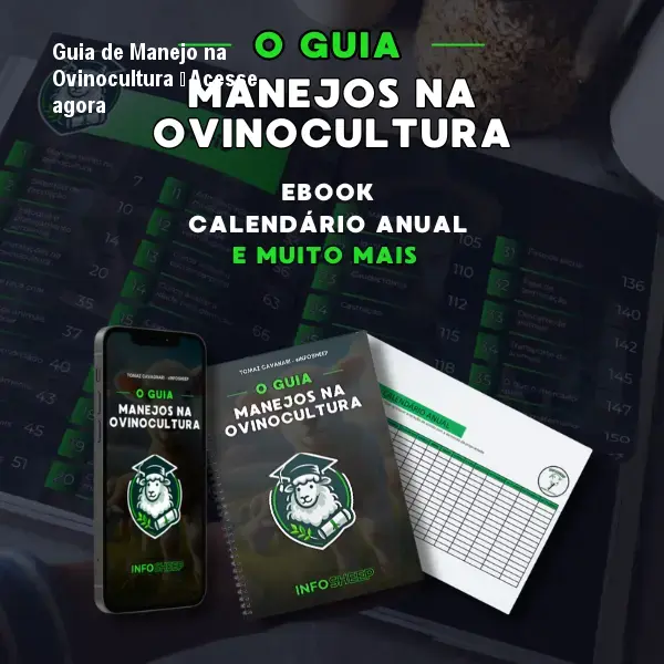 Guia de Manejo na Ovinocultura – Acesse agora