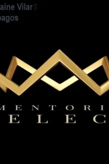 Mentoria SELECT de Elaine Vilar – Aprenda lançamentos pagos