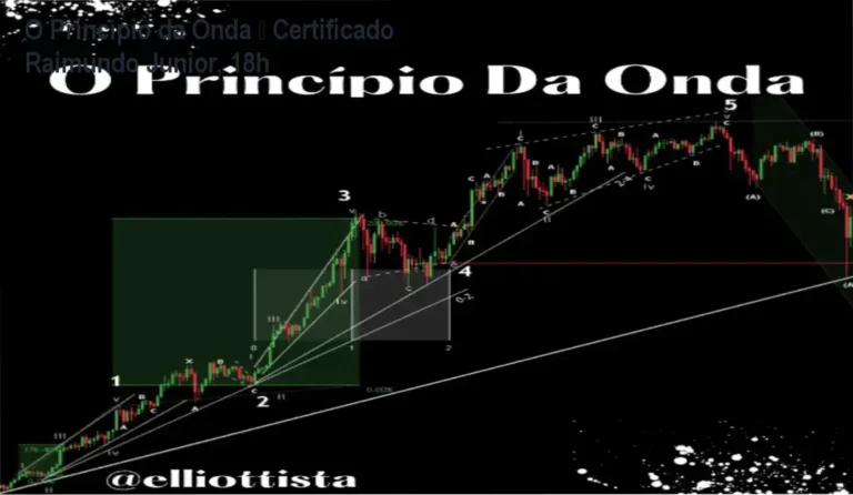 O Princípio da Onda – Raimundo Junior | certificado e carga horária 18h