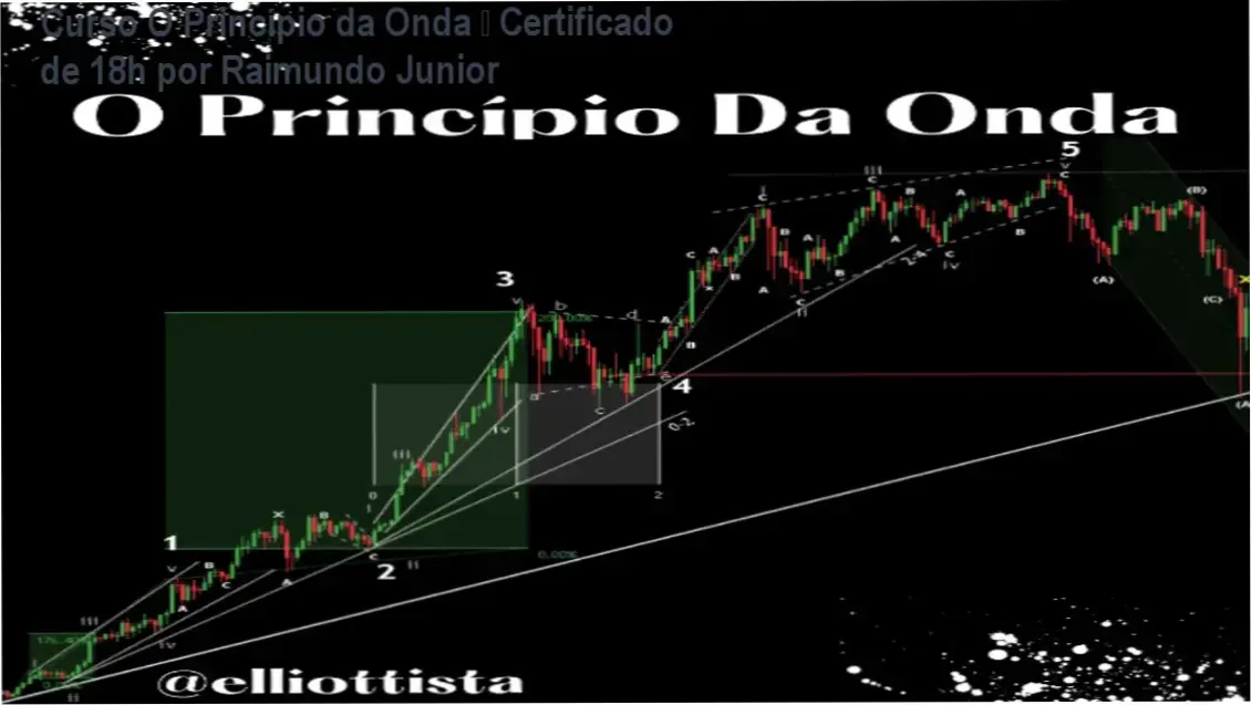 O Princípio da Onda – certificado emitido por Raimundo Junior