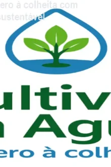 Cultive na Água: Do zero à colheita com hidroponia prática e sustentável