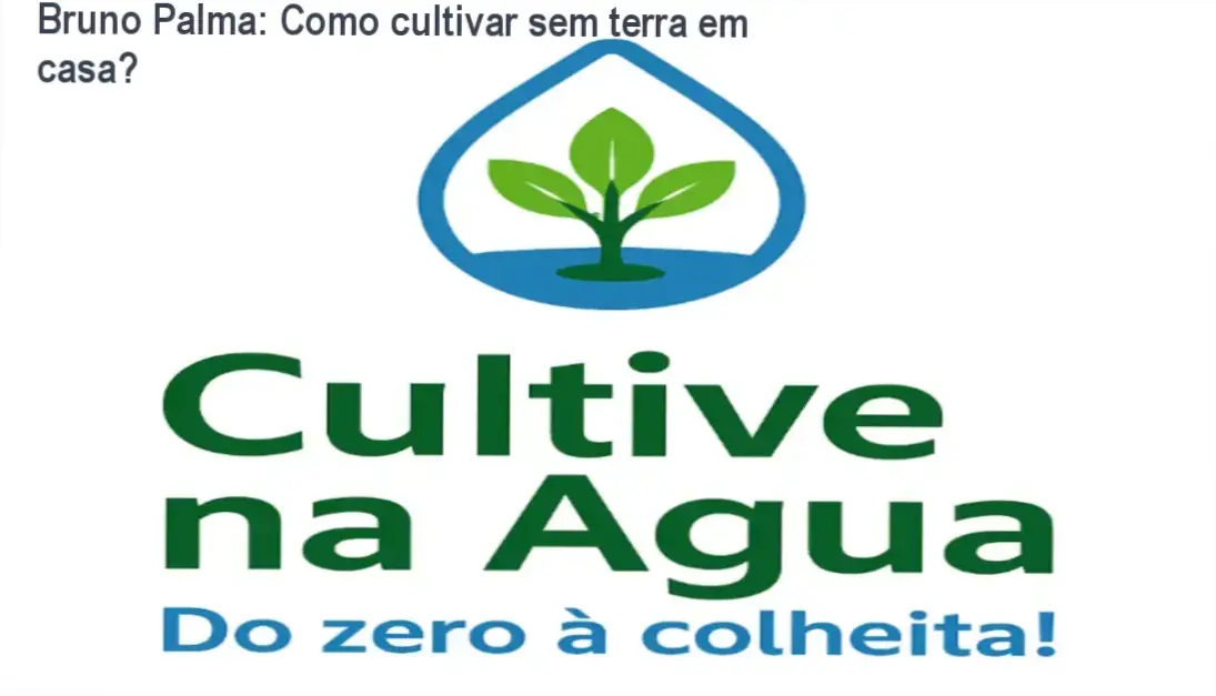 Bruno Palma Cultive na Água bastidores funcionamento visão interna