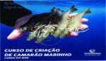 Curso de Criação de Camarão Marinho Longe do Mar My Fish World bastidores e funcionamento interno