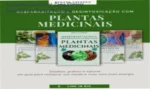 Guia de desparasitação natural com plantas medicinais e metodologias práticas para melhorar a saúde intestinal