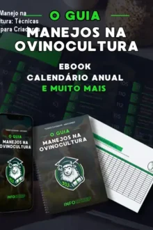 Guia de Manejo na Ovinocultura: Técnicas Práticas para Criadores