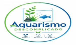 Henrique Dias ensinando montagem de aquário plantado no curso Aquarismo Descomplicado