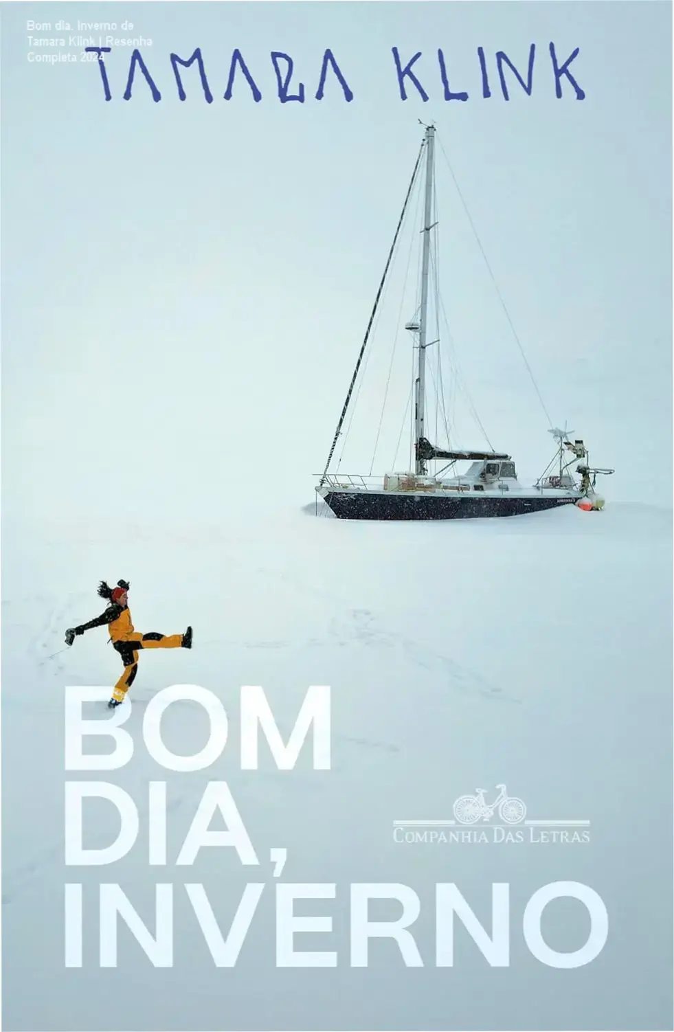 Capa do livro Bom dia, inverno de Tamara Klink, mostrando paisagem ártica com auroras boreais