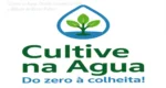 Montagem de sistema hidropônico doméstico em ambiente residencial