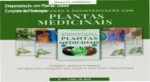 Composição de diversas ervas medicinais e plantas para desintoxicação natural
