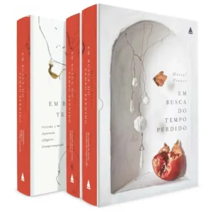 Box de luxo em capa dura do livro Em Busca do Tempo Perdido de Marcel Proust