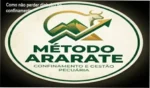 Curso prático de gestão de confinamento com planilhas de controle de custos e boi adaptado