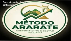 Curso prático de gestão de confinamento com planilhas de controle de custos e boi adaptado