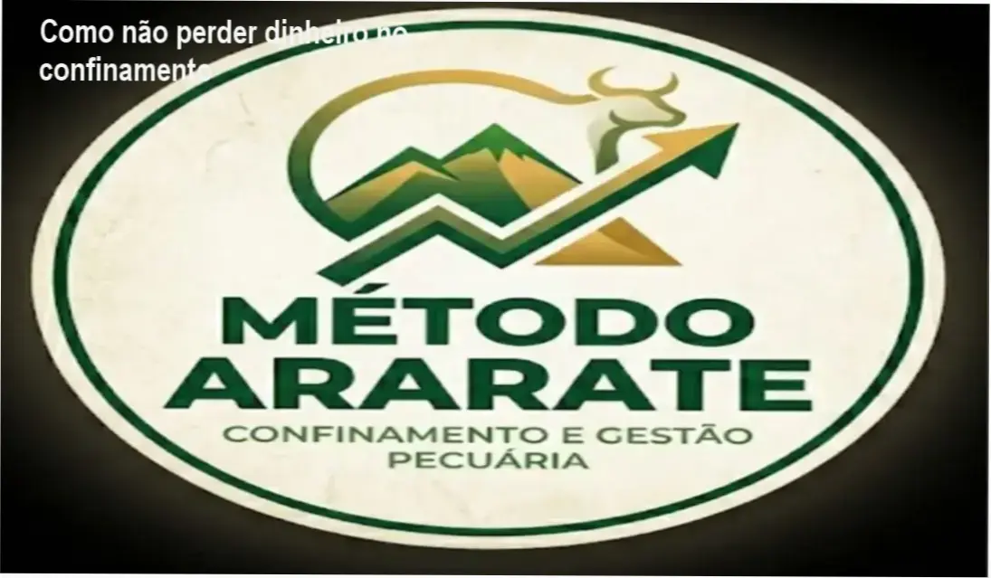 Curso prático de gestão de confinamento com planilhas de controle de custos e boi adaptado