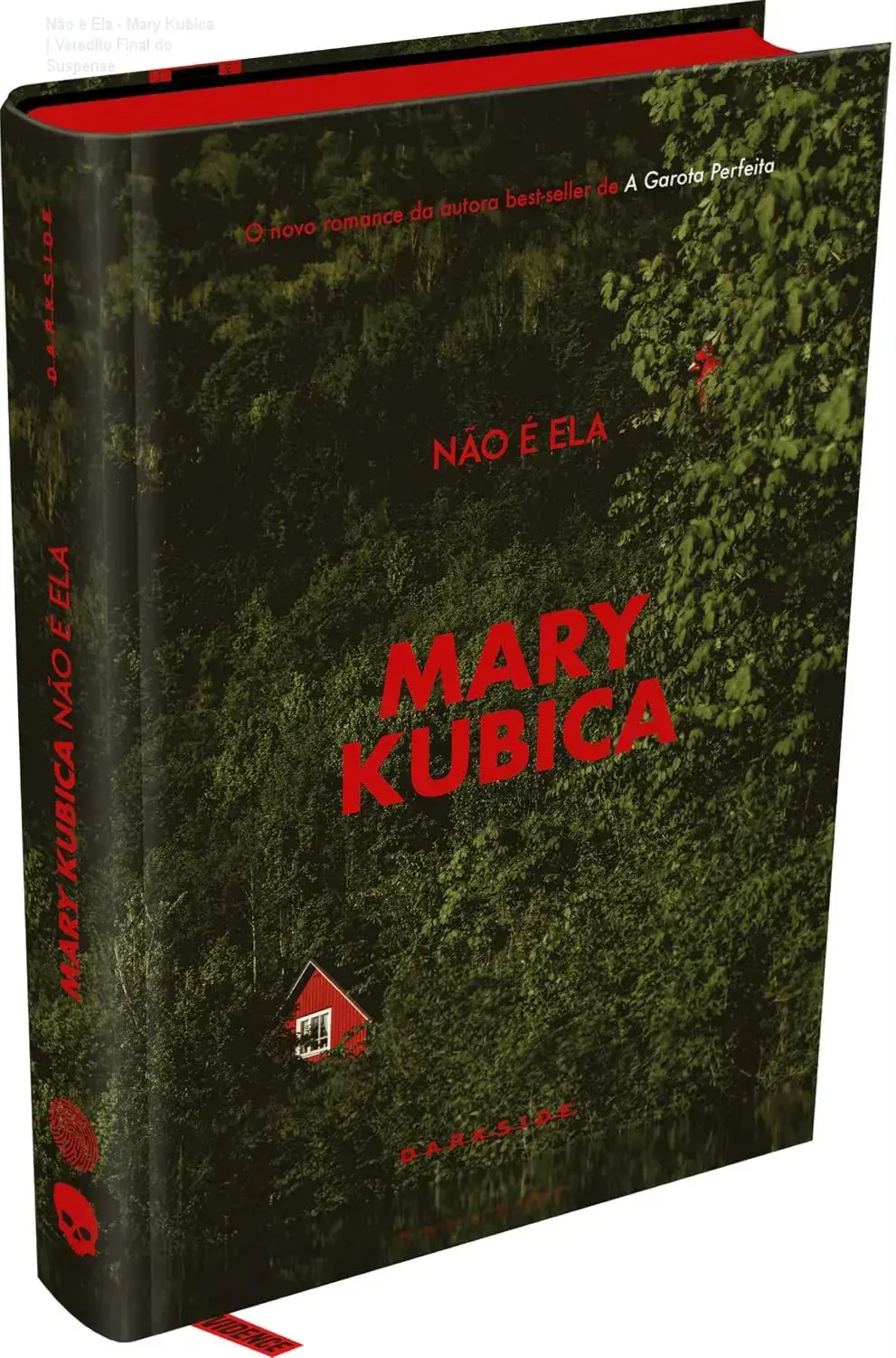 Capa do livro Não é Ela de Mary Kubica, suspense psicológico da coleção E.L.A.S