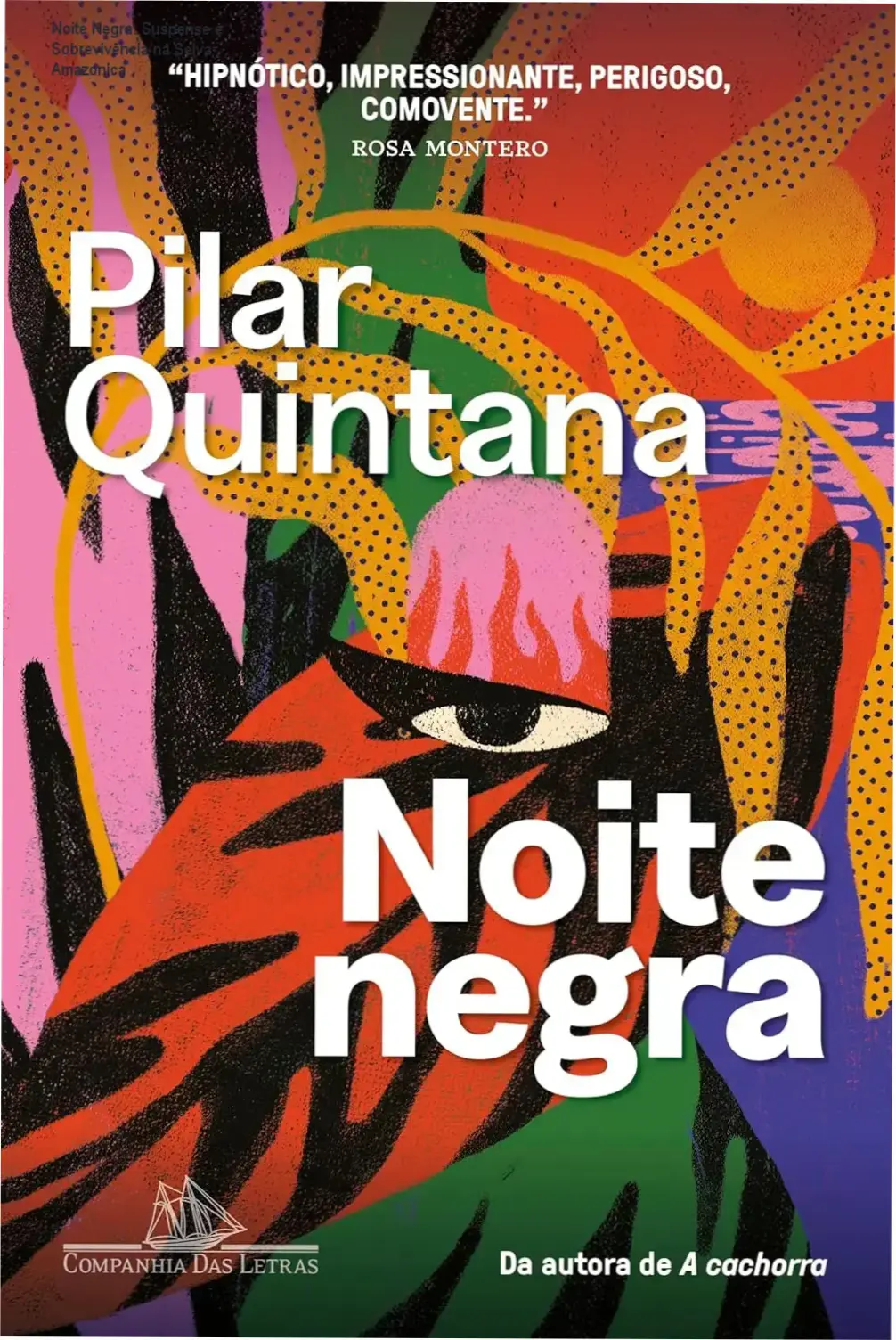 Capa do livro Noite Negra com paisagem densa da Amazonia mostrando árvores, riachos e sombras ameaçadoras no entardecer