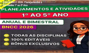 Conjunto de materiais pedagógicos alinhados à BNCC para professores do 1º ao 5º ano