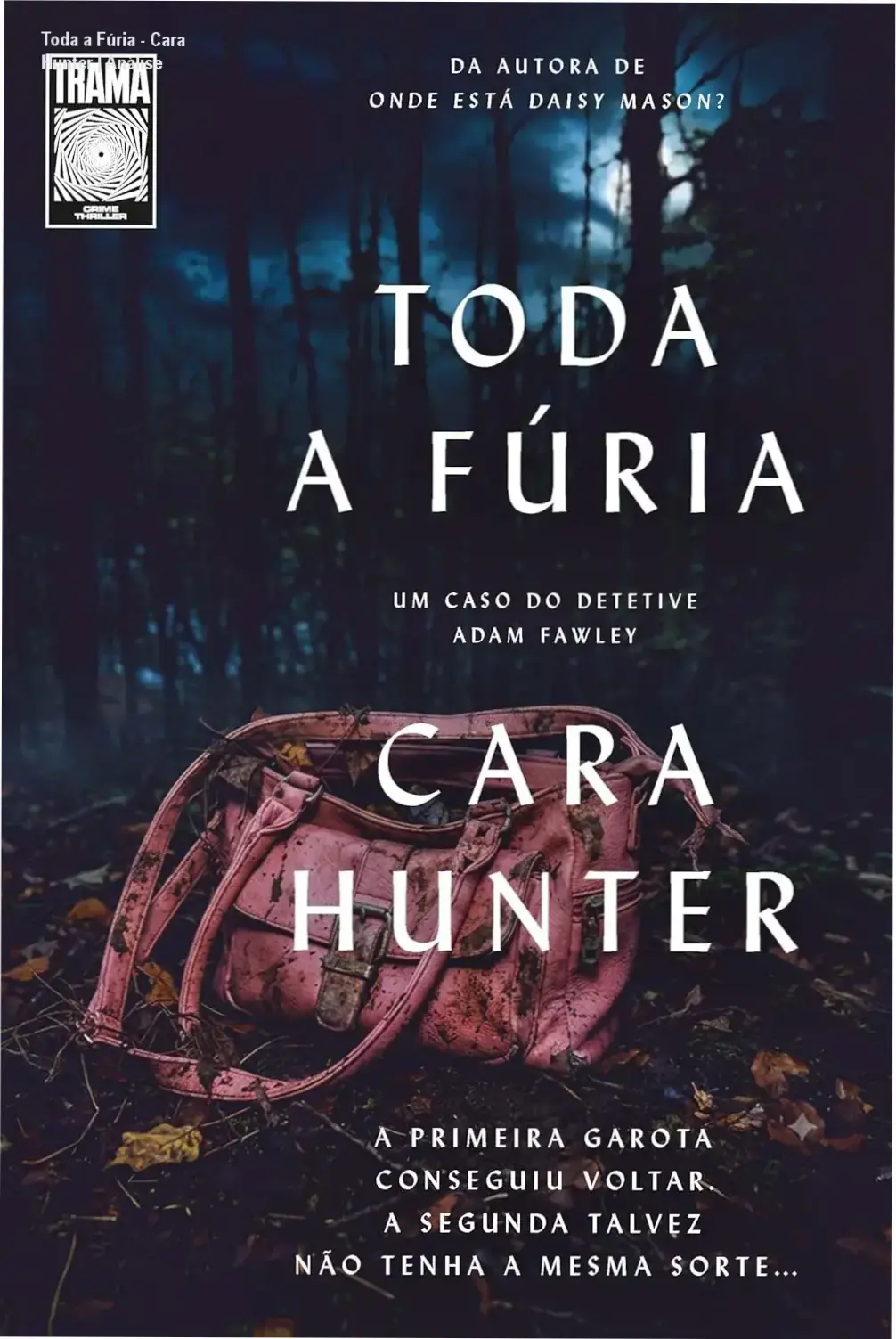 Capa do livro Toda a Fúria de Cara Hunter, quarto volume da série Detetive Fawley