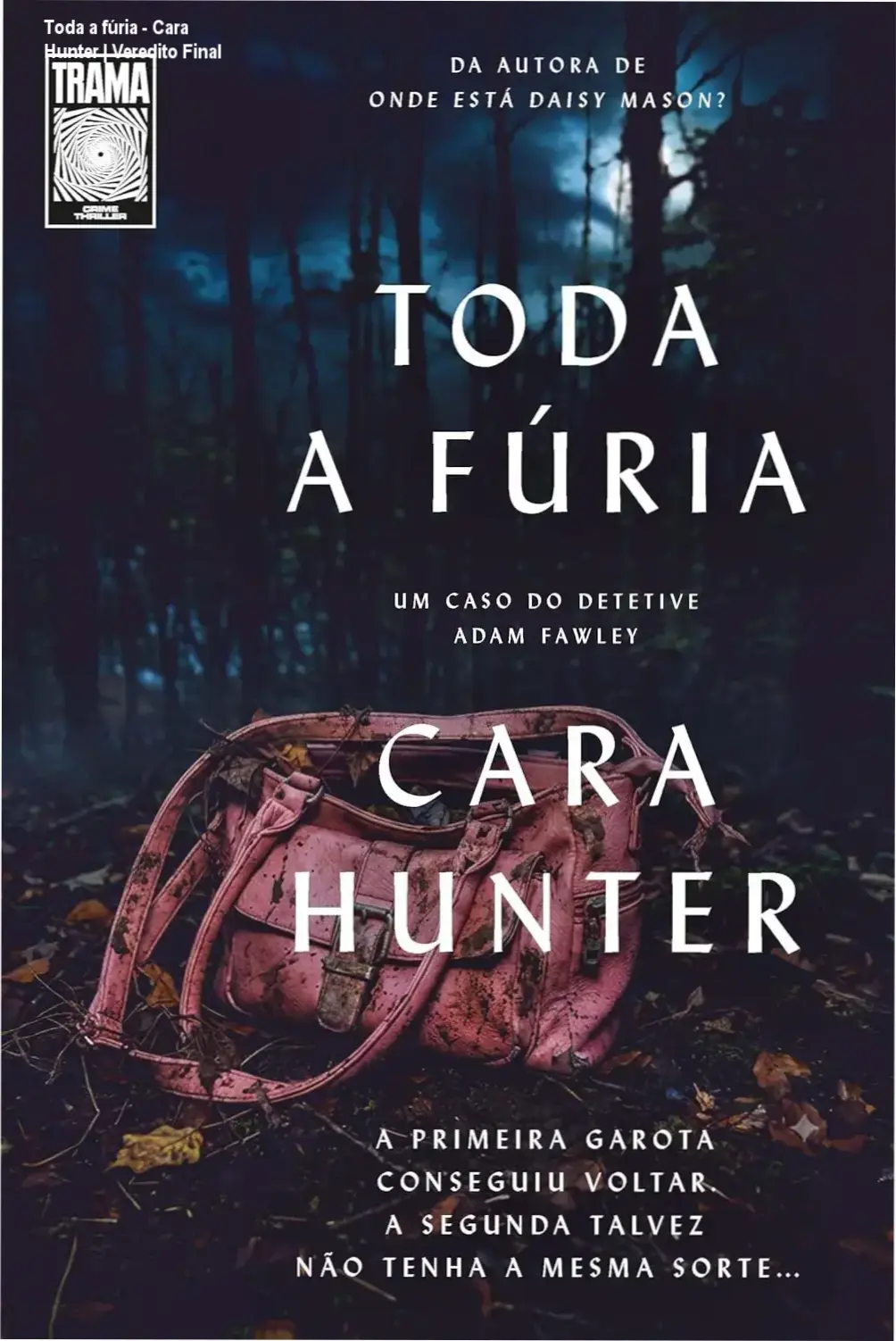 Capa do livro Toda a fúria de Cara Hunter, quarto volume da série do detetive Fawley publicado pela Trama