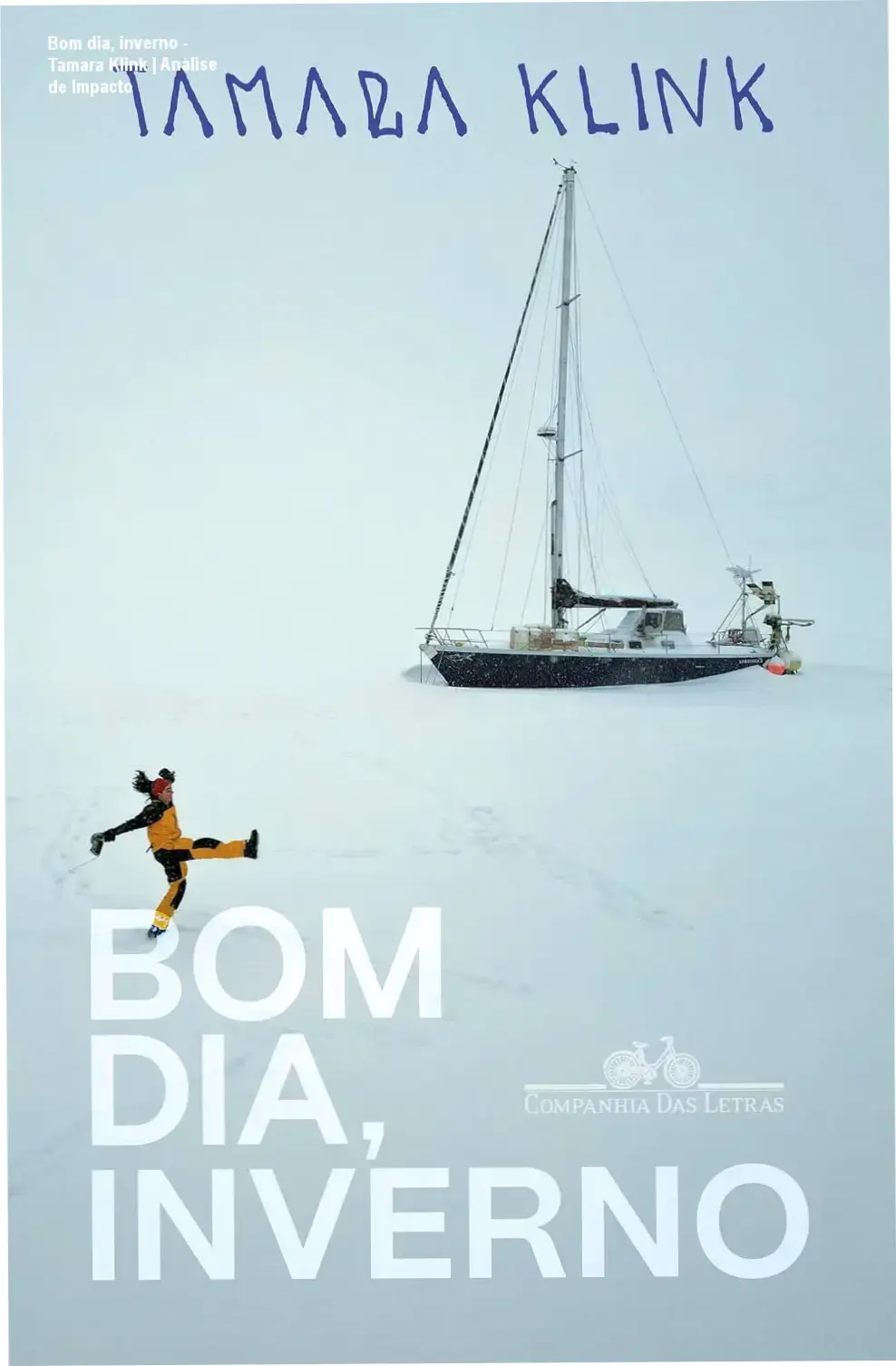 Capa do livro Bom dia, inverno de Tamara Klink detalhando a expedição ao Ártico