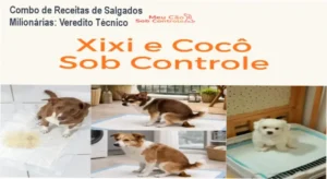 Kit de apostilas digitais do Combo de Receitas de Salgados Milionárias para produção profissional