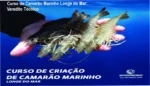 Representação de sistema de carcinicultura superintensiva longe do mar