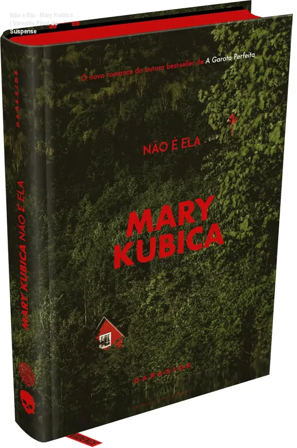 Capa do livro Não é Ela de Mary Kubica, edição Crime Scene da Darkside Books