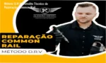 Mecânico realizando reparação de injetores common rail utilizando a metodologia DRV do Alemão Diesel
