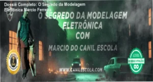 Treinamento de obediência avançada com colar eletrônico método Márcio Ferreira