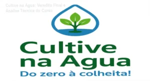Sistema de hidroponia doméstica do curso Cultive na Água de Bruno Palma