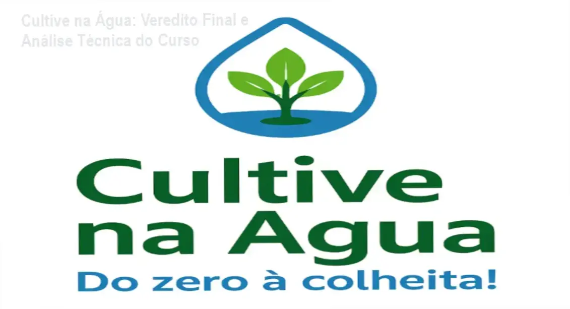 Sistema de hidroponia doméstica do curso Cultive na Água de Bruno Palma