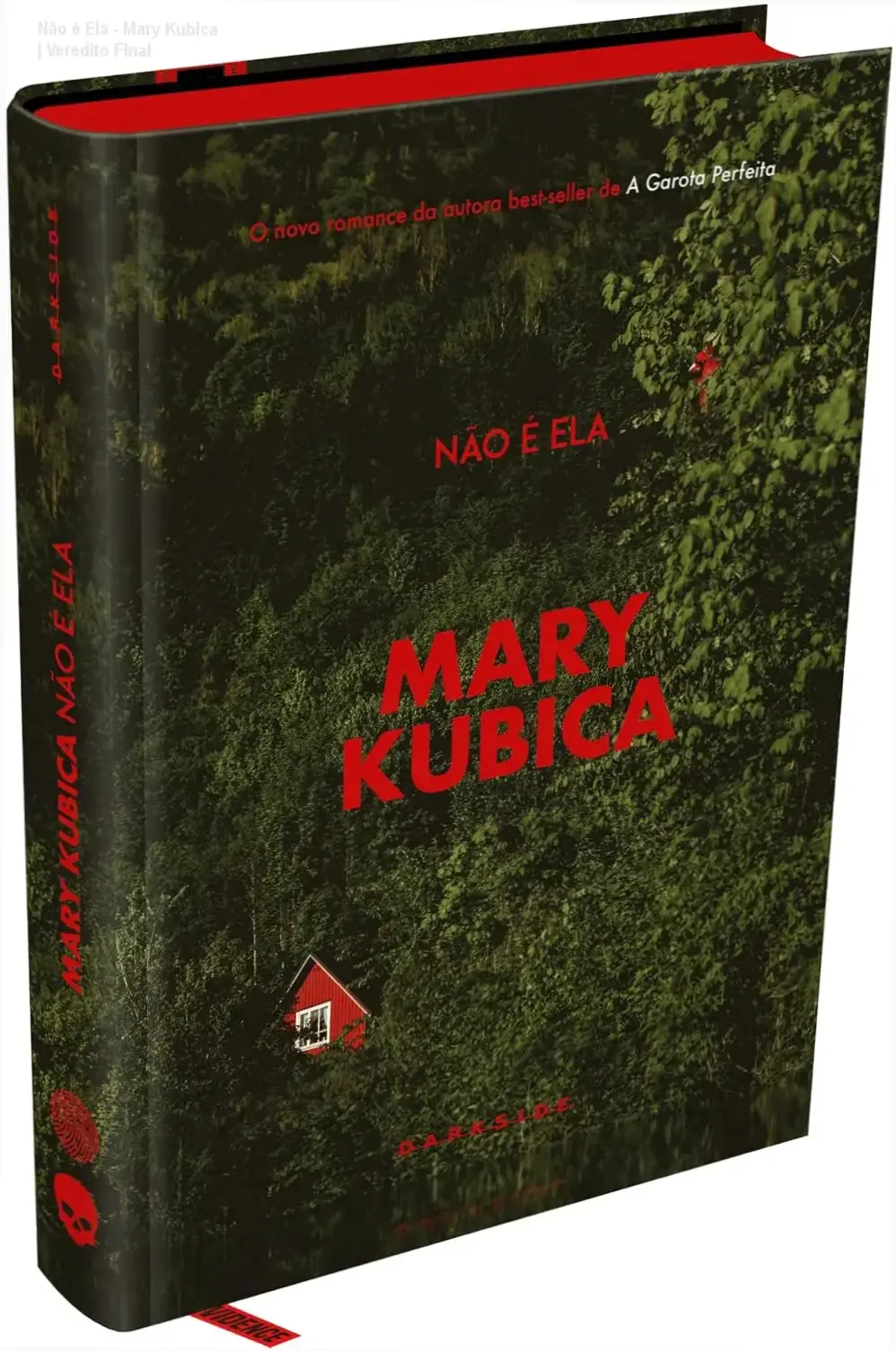 Capa do livro Não é Ela de Mary Kubica, thriller psicológico da Darkside Books