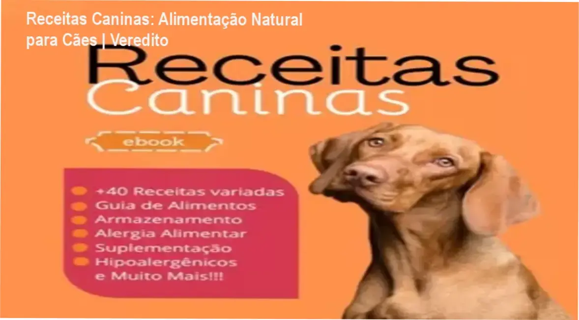 Cachorro saudável ao lado de tigela com alimentação natural caseira do ebook Receitas Caninas